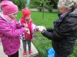 img_6545.jpg